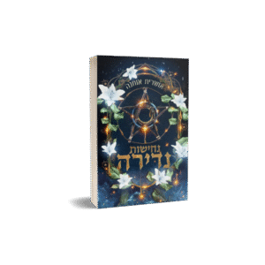 נדירה 2 - נחישות נדירה